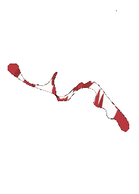 Racing F1 Sticker
