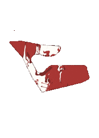 Racing F1 Sticker