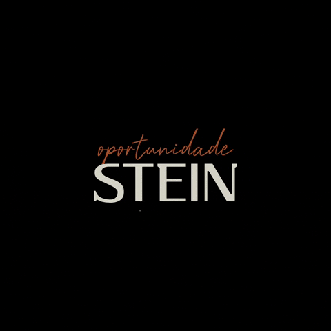 SteinInvestimentos giphyattribution GIF