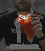 Yoga Spine GIF by YOGABODY