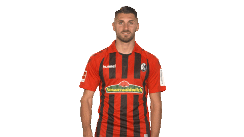 Sc Freiburg Football Sticker by Bundesliga