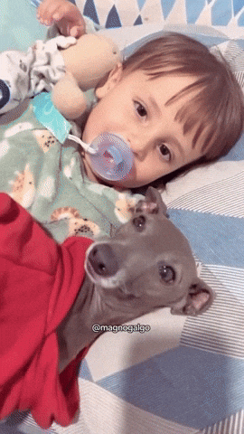 cuteanimalland giphyupload GIF