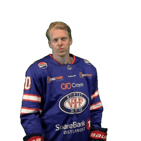 Fight Ken Sticker by VIF Hockey