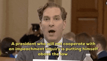 news impeachment impeachment inquiry noah feldman GIF