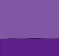 GIF by Chippy the dog