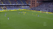 torreira GIF by nss sports