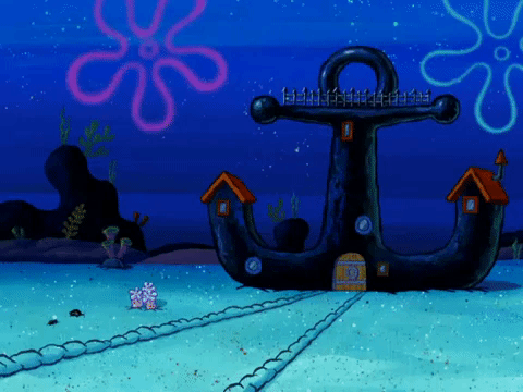 season 6 gullible pants GIF by SpongeBob SquarePants