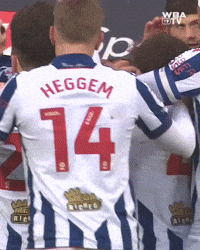 West Brom Wba GIF by West Bromwich Albion