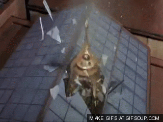 gene wilder GIF
