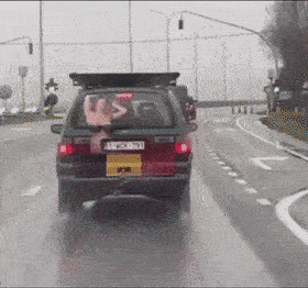 laughwall giphyupload GIF