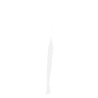 RelixBridal wedding dress gown white dress wedding gown Sticker