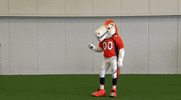 Denver Broncos Football GIF by Broncos