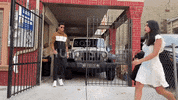 businessofmast business of mast aishan shetty GIF