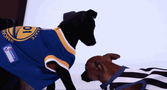 GIF by Golden State Warriors