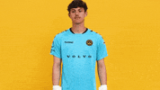 Save South Carolina GIF by Charleston Battery