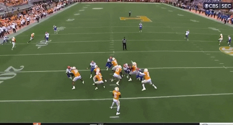 tsco1035 giphyupload GIF