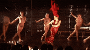 sexy baroque burlesque GIF by Company XIV