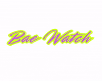 Bay Watch GIF