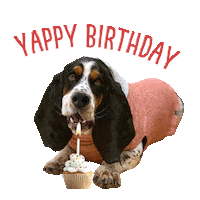 Happy Birthday Sticker