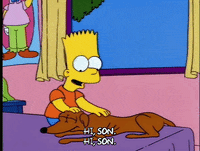 homer simpson GIF
