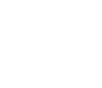 Cat Line Sticker