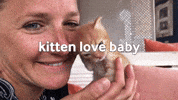 Geldhelden_org love happy cat kitten GIF