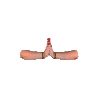 Pray South Indian Sticker by trichak