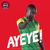 south african soccer GIF