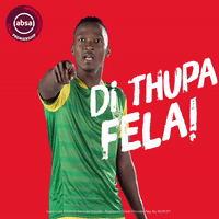 south african soccer GIF