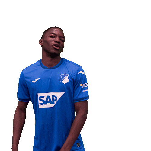 Sport Bundesliga Sticker by TSG Hoffenheim