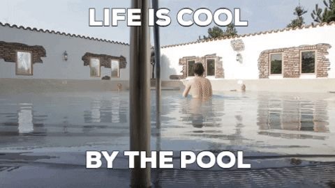 Chill Pool GIF by VeluwseBron