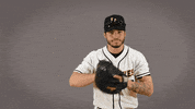 Cal State La Baseball GIF by Cal State LA Golden Eagles
