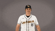 Cal State La Baseball GIF by Cal State LA Golden Eagles