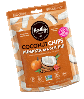Snack Pumpkin Sticker by HealthyCrunch