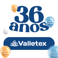 Valletex birthday bday aniversario niver Sticker