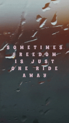 Driving Domestic Violence GIF by ArmyPink