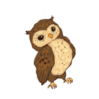 Owl Woodland Creatures Sticker by Harveys Seatbelt Bag