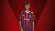 Hdh GIF by Bundesliga