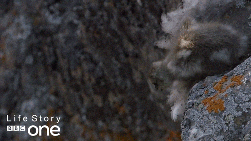 Jumping Bbc One GIF by BBC