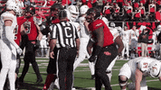 Red Wolves Football GIF by Arkansas State Athletics