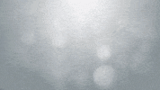 MPBiomedicalsAsiaPacific mp biomedicals mpbio fastprep sample preparation GIF