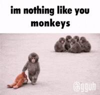 Monkey Punch GIF