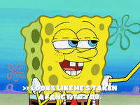 season 6 pet or pets GIF by SpongeBob SquarePants
