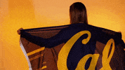 calathletics sports sport college volleyball GIF