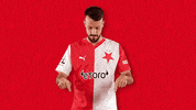 Football Soccer GIF by SK Slavia Praha