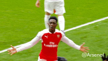 Premier League Football GIF by Arsenal