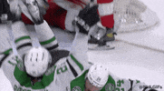 Ice Hockey Sport GIF by NHL