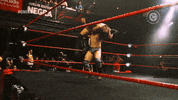 Wrestling Nacional GIF by CNL Chile