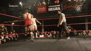 Fight Wrestling GIF by CNL Chile