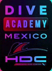 Scuba Diving GIF by HuatulcoDiveCenter
